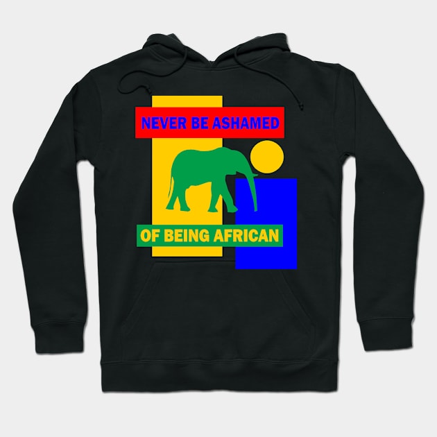 Never be shamed of being African Hoodie by truthtopower